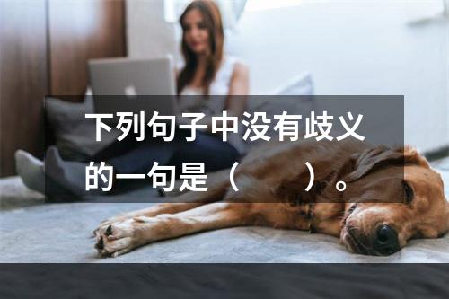 下列句子中没有歧义的一句是（　　）。