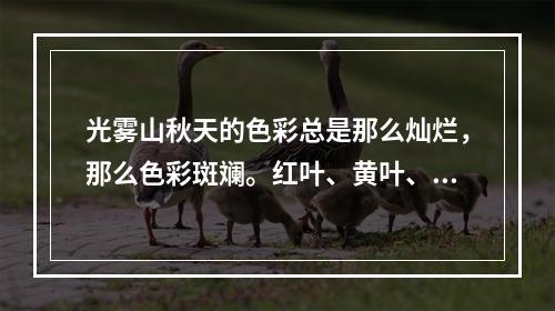 光雾山秋天的色彩总是那么灿烂，那么色彩斑斓。红叶、黄叶、绿