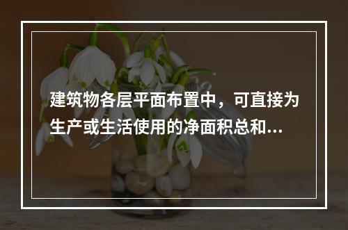 建筑物各层平面布置中，可直接为生产或生活使用的净面积总和，称