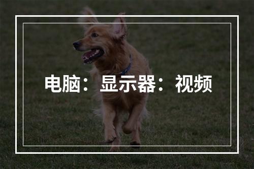 电脑：显示器：视频