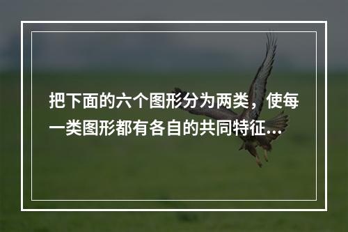 把下面的六个图形分为两类，使每一类图形都有各自的共同特征或