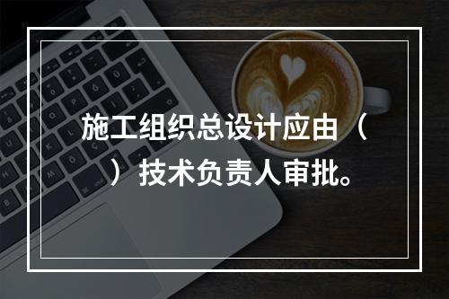 施工组织总设计应由（　）技术负责人审批。