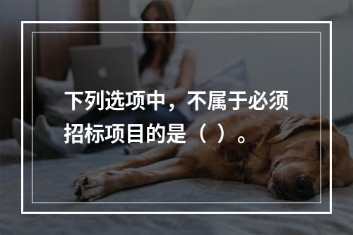 下列选项中，不属于必须招标项目的是（  ）。