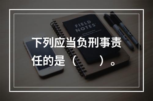 下列应当负刑事责任的是（　　）。