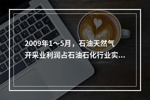 2009年1～5月，石油天然气开采业利润占石油石化行业实现利