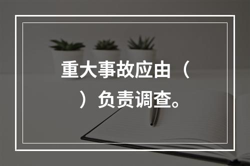 重大事故应由（　）负责调查。