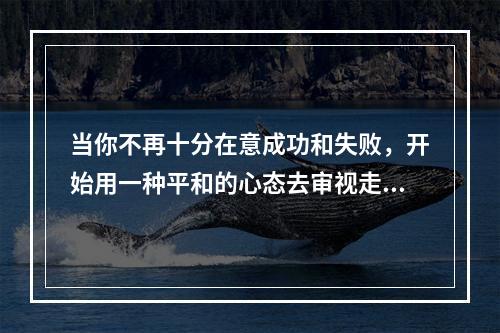 当你不再十分在意成功和失败，开始用一种平和的心态去审视走过