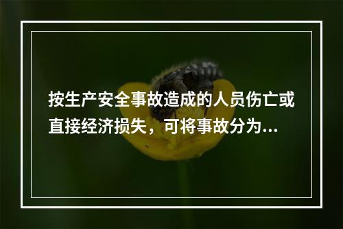 按生产安全事故造成的人员伤亡或直接经济损失，可将事故分为（　