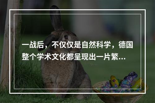 一战后，不仅仅是自然科学，德国整个学术文化都呈现出一片繁荣