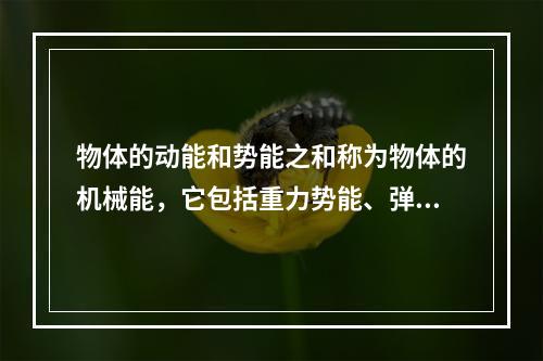 物体的动能和势能之和称为物体的机械能，它包括重力势能、弹性