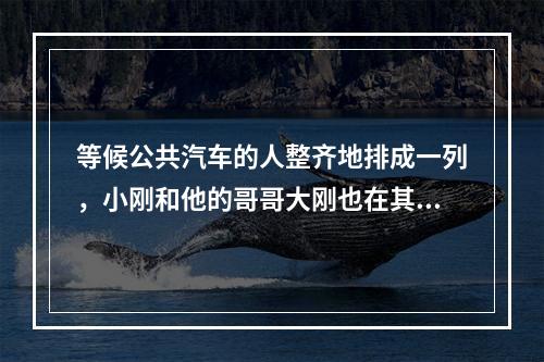 等候公共汽车的人整齐地排成一列，小刚和他的哥哥大刚也在其中