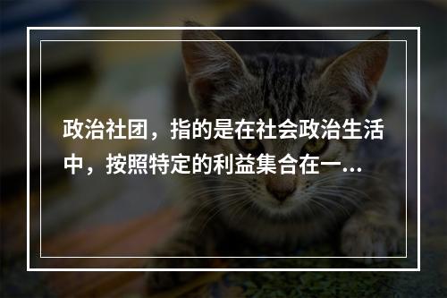 政治社团，指的是在社会政治生活中，按照特定的利益集合在一起