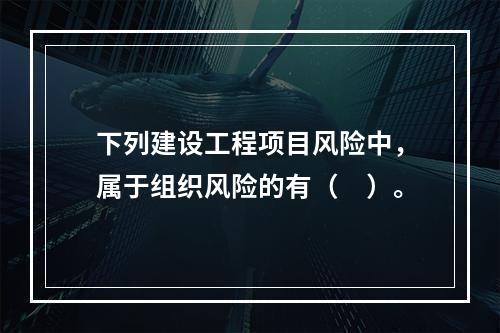 下列建设工程项目风险中，属于组织风险的有（　）。