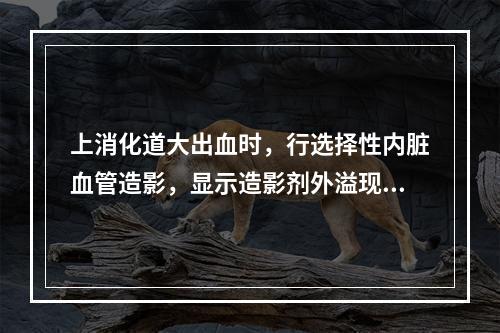 上消化道大出血时，行选择性内脏血管造影，显示造影剂外溢现象，