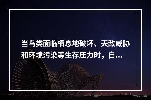 当鸟类面临栖息地破坏、天敌威胁和环境污染等生存压力时，自身