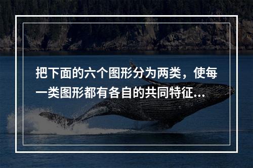 把下面的六个图形分为两类，使每一类图形都有各自的共同特征或