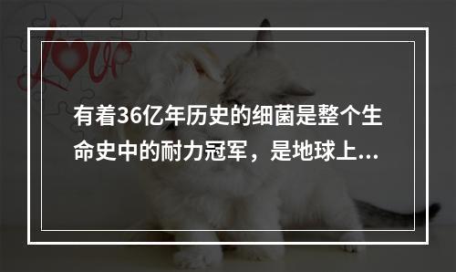 有着36亿年历史的细菌是整个生命史中的耐力冠军，是地球上最