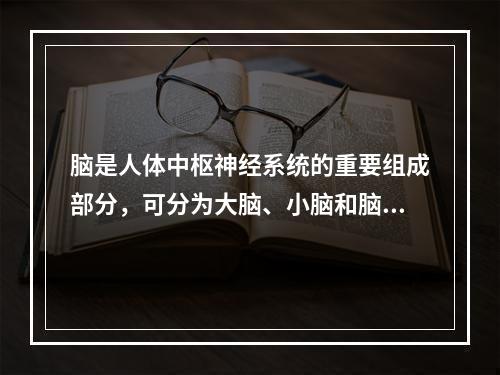 脑是人体中枢神经系统的重要组成部分，可分为大脑、小脑和脑干