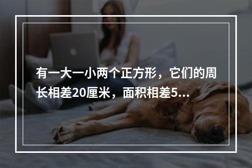 有一大一小两个正方形，它们的周长相差20厘米，面积相差55