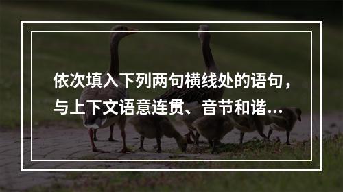 依次填入下列两句横线处的语句，与上下文语意连贯、音节和谐的