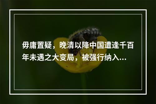 毋庸置疑，晚清以降中国遭逢千百年未遇之大变局，被强行纳入世