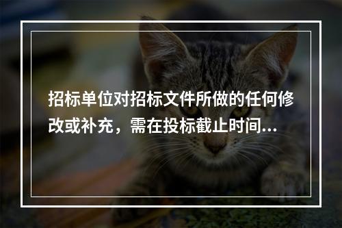 招标单位对招标文件所做的任何修改或补充，需在投标截止时间至少