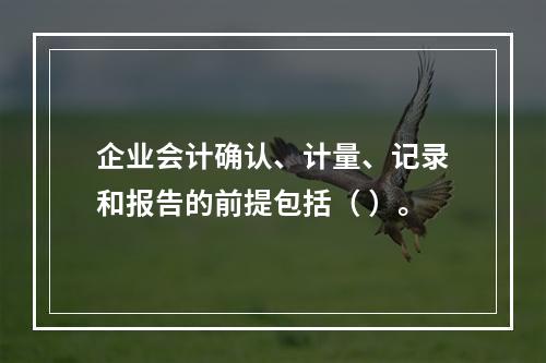 企业会计确认、计量、记录和报告的前提包括（ ）。