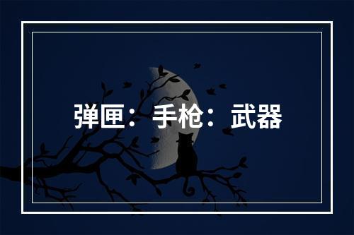 弹匣：手枪：武器