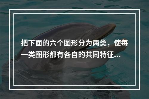 把下面的六个图形分为两类，使每一类图形都有各自的共同特征或