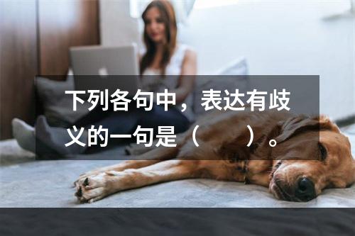 下列各句中，表达有歧义的一句是（　　）。