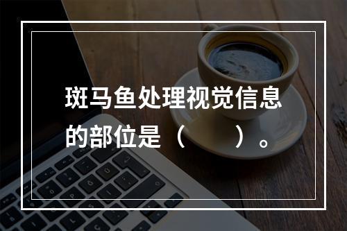 斑马鱼处理视觉信息的部位是（　　）。