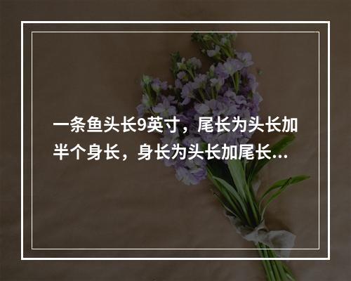 一条鱼头长9英寸，尾长为头长加半个身长，身长为头长加尾长，