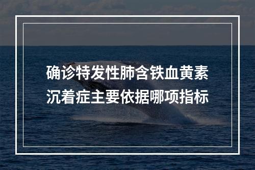 确诊特发性肺含铁血黄素沉着症主要依据哪项指标