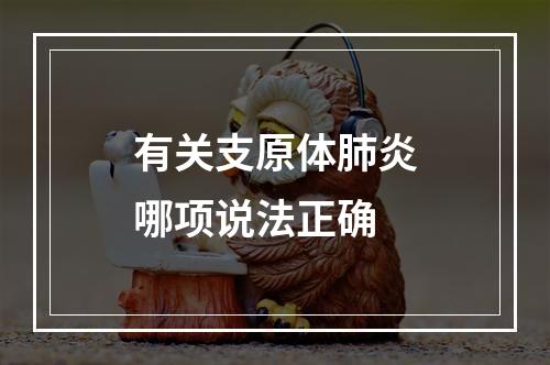 有关支原体肺炎哪项说法正确