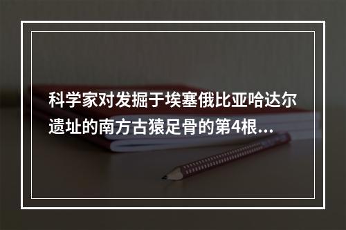 科学家对发掘于埃塞俄比亚哈达尔遗址的南方古猿足骨的第4根跖