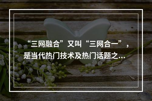 “三网融合”又叫“三网合一”，是当代热门技术及热门话题之一