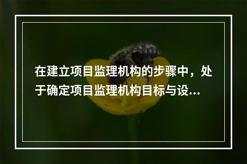 在建立项目监理机构的步骤中，处于确定项目监理机构目标与设计