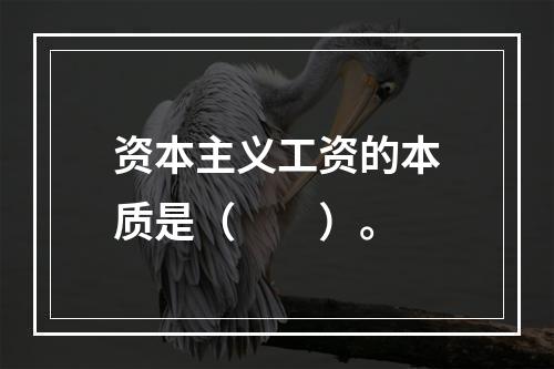 资本主义工资的本质是（　　）。