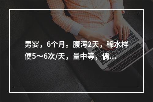 男婴，6个月。腹泻2天，稀水样便5～6次/天，量中等，偶吐奶