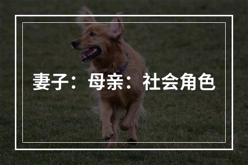 妻子：母亲：社会角色