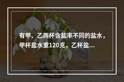 有甲、乙两杯含盐率不同的盐水，甲杯盐水重120克，乙杯盐水