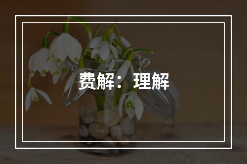 费解：理解