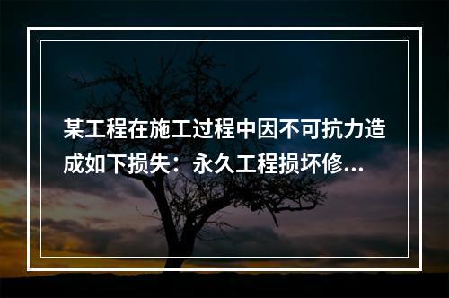 某工程在施工过程中因不可抗力造成如下损失：永久工程损坏修复费