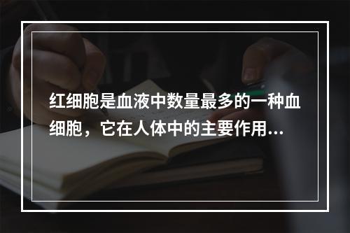 红细胞是血液中数量最多的一种血细胞，它在人体中的主要作用是