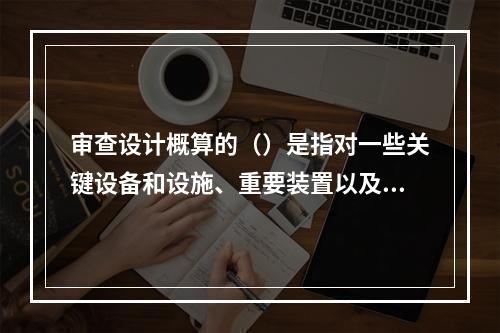 审查设计概算的（）是指对一些关键设备和设施、重要装置以及图纸