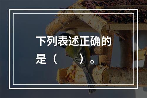 下列表述正确的是（　　）。