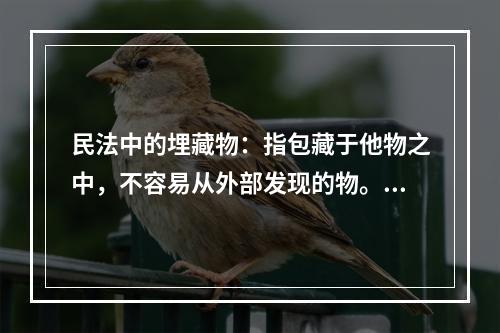 民法中的埋藏物：指包藏于他物之中，不容易从外部发现的物。埋