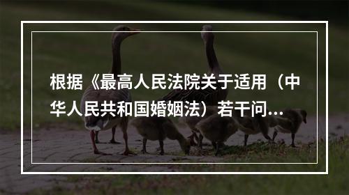 根据《最高人民法院关于适用（中华人民共和国婚姻法）若干问题