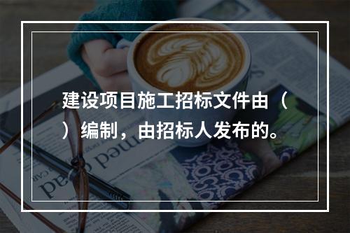 建设项目施工招标文件由（）编制，由招标人发布的。