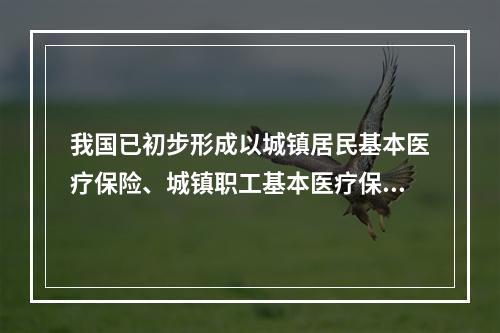 我国已初步形成以城镇居民基本医疗保险、城镇职工基本医疗保险